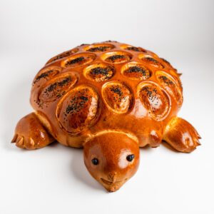 TORTUE