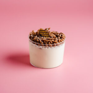 MONT BLANC